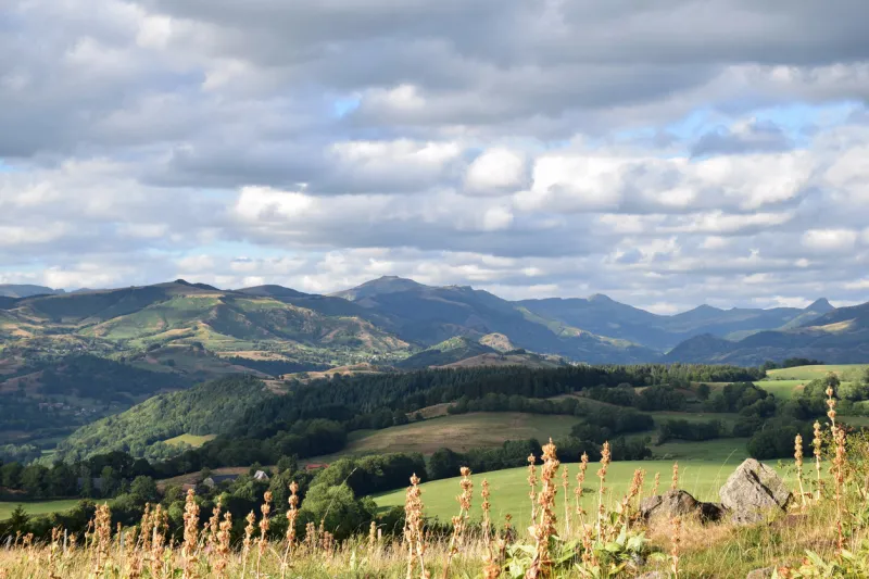 vue sur les monts d'auvergne