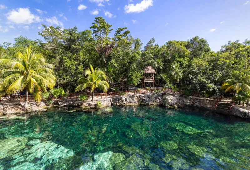 mexico tourism destination, cenote casa tortuga near tulum and playa del carmen