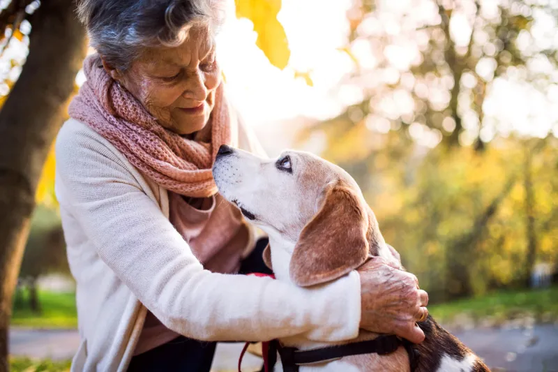 an elderly woman with dog in autumn nature senior woman on a walk