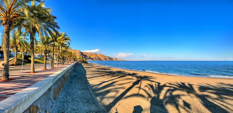 panoramic view of the mediterranean beach palm tree lined promenade in roquetas de mar, southern spain