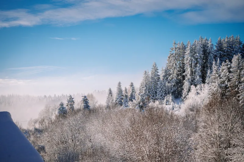 auvergne landscape in winter, france (saint germain l'herm) 1100 meters