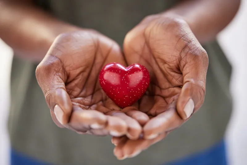 close up of black woman hands holding a small red heart small heart in the hands of a african woman solidarity, charity and responsibility concept