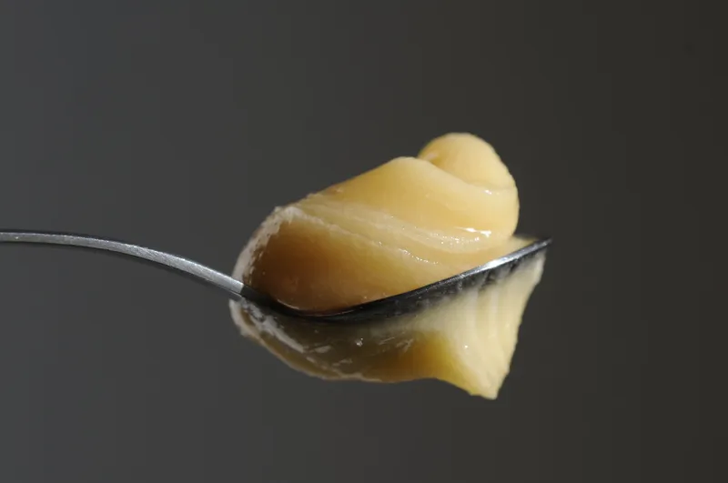 crystalized pasty honey glues on a metal spoon, close up on dark grey background