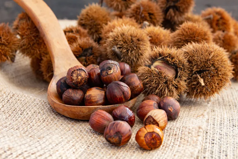 close up bunch of chestnuts on rustic background