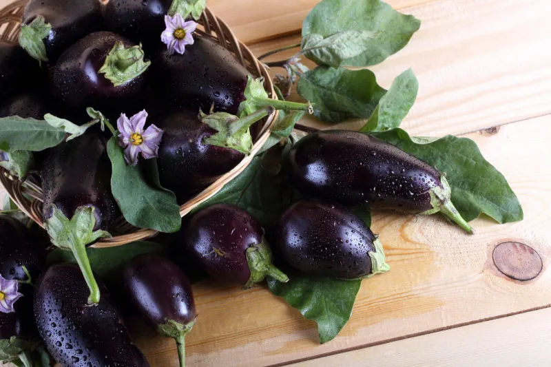 eggplants on table