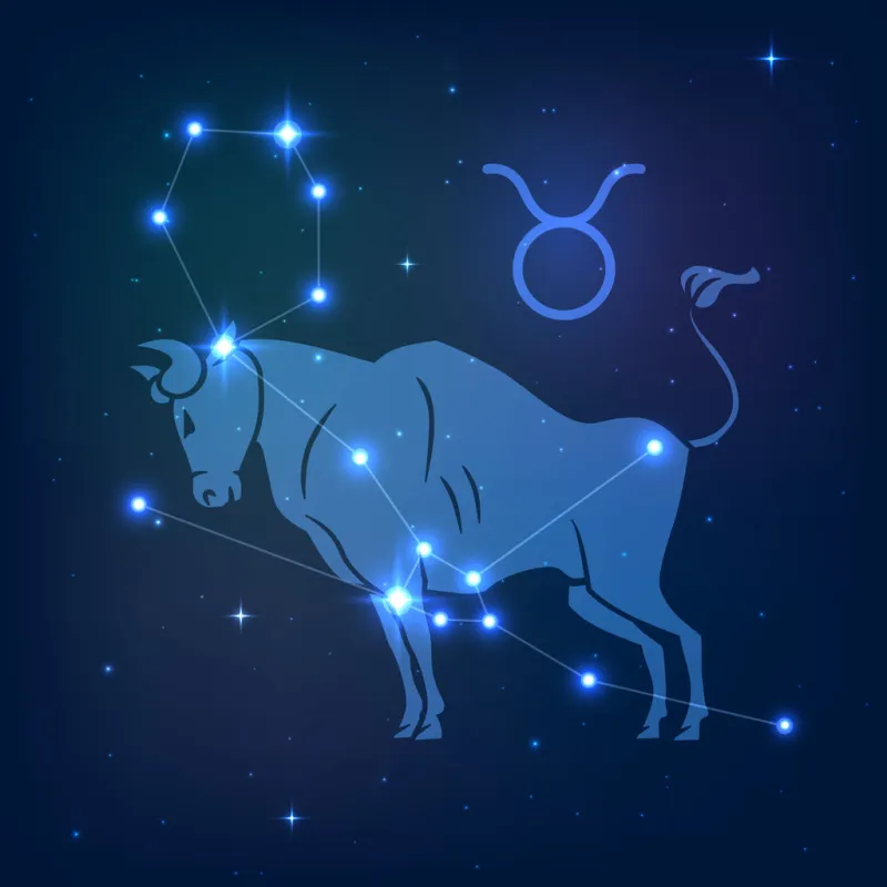 taurus - constellation of the zodiac at night starry sky