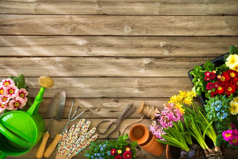 gardening tools and flowers on wooden table