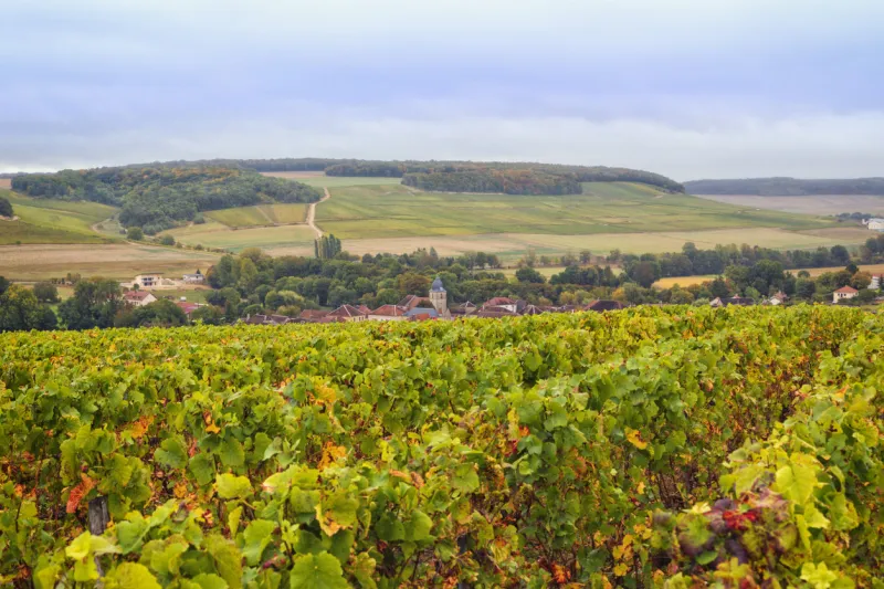 vineyards above the village of meurville, champagne-ardenne, france