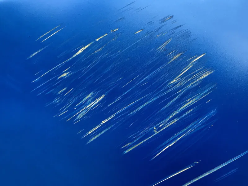 closeup blue color of car scratched texture