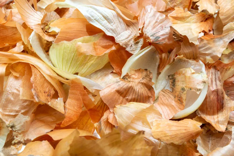 onion husk background the husk left after peeling the onion