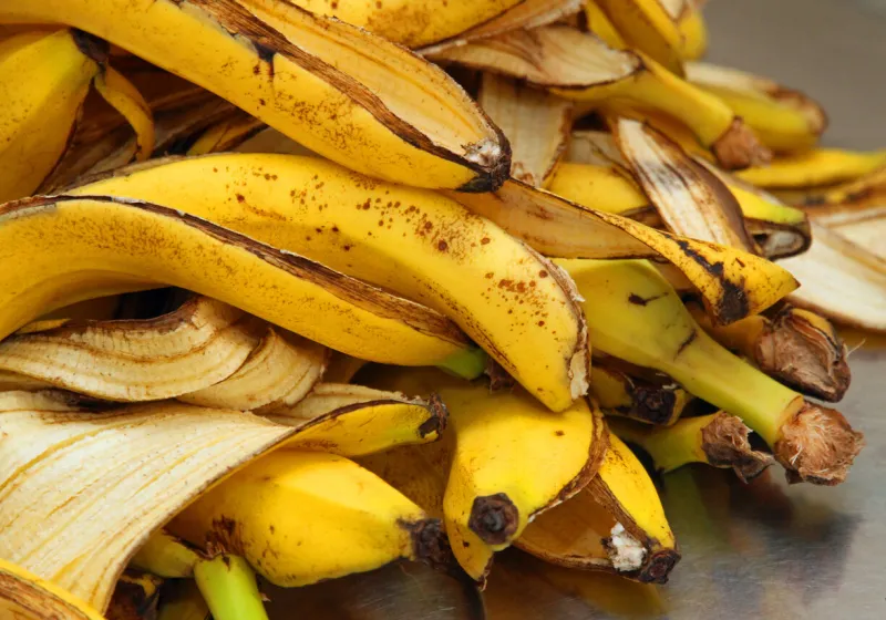 many yellow banana peels just peel to store organic waste