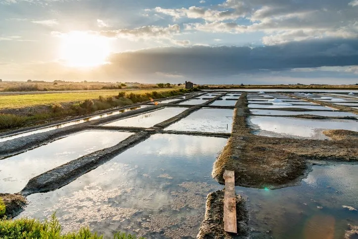 the sun rises on ponds, basins and salt piles in the salt marsh