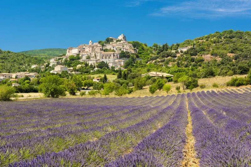 small but beautiful old town of simiane la rotonde with a lavender field in front of it, provence - france