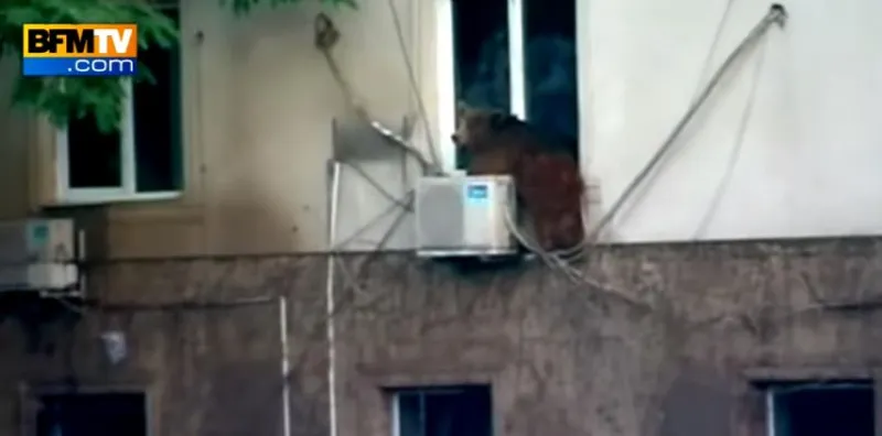 inondation en géorgie