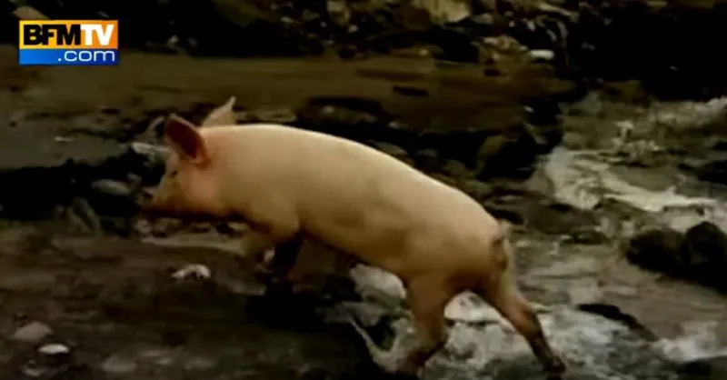 inondation en géorgie