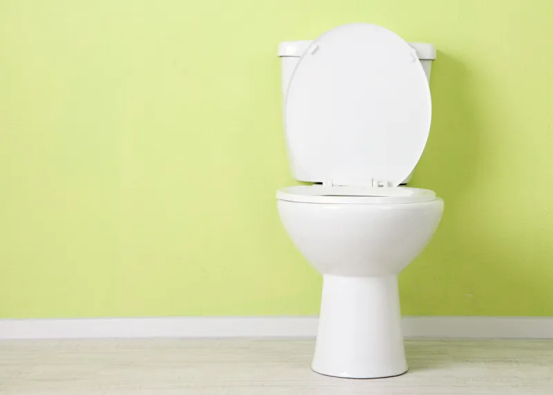 white toilet bowl in a bathroom