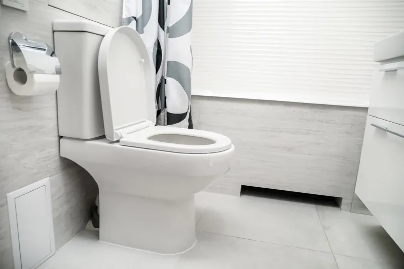 white toilet bowl in bathroom