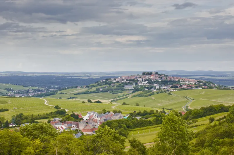 the vineyards of sancerre in the loire valley of france