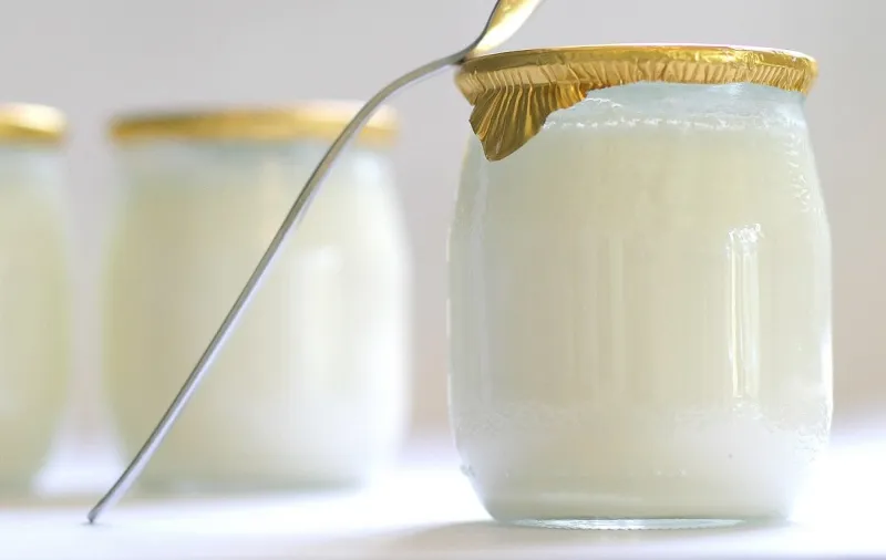 yaourt à l'ancienne