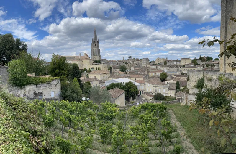 wide angle view of the medieval winemaking town of saint Émilion and the rows of grapevines in the foreground viewed from the tour du roy in saint Émilion, gironde aquitaine, france
