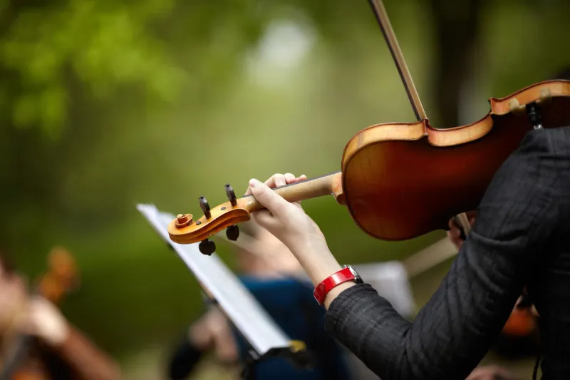main de femme avec violon, mise au point sélective sur le centre de l'image