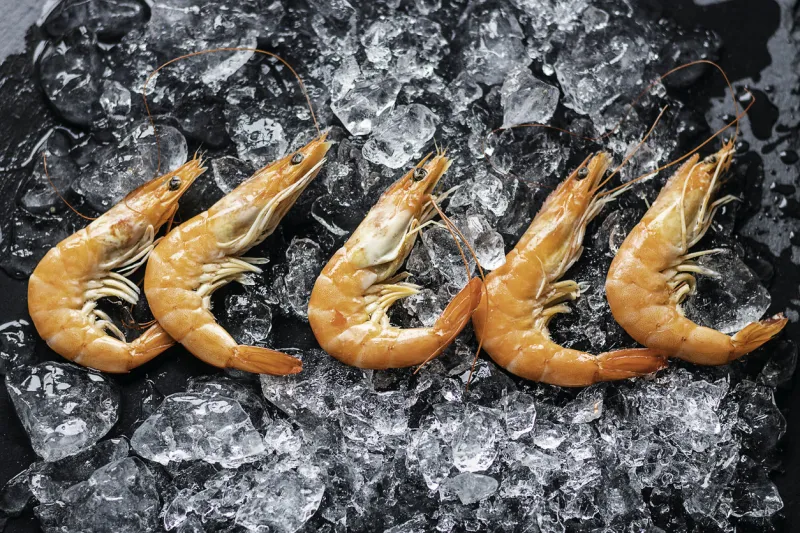 five prawns on a bed of ice and dark background