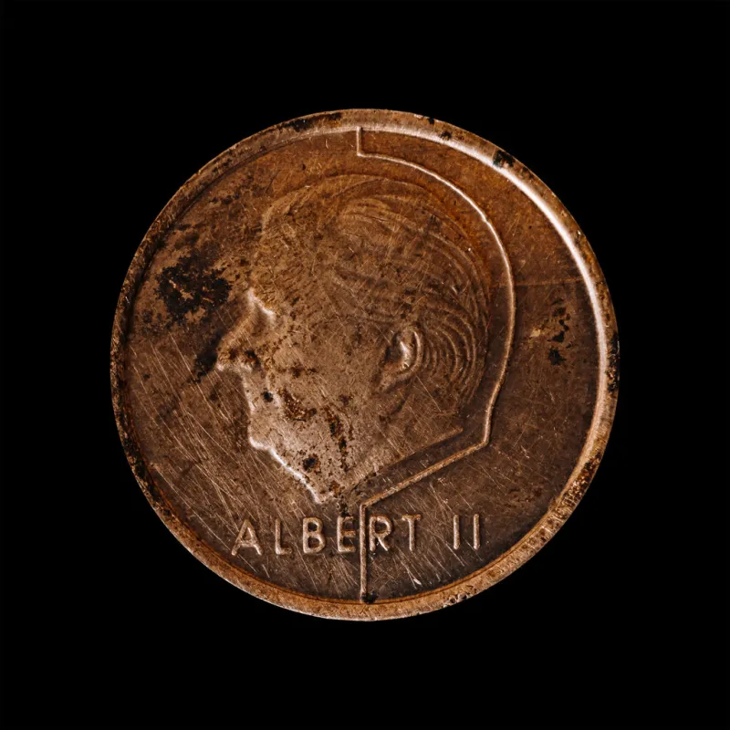 a close up of albert ii on belgian two euros