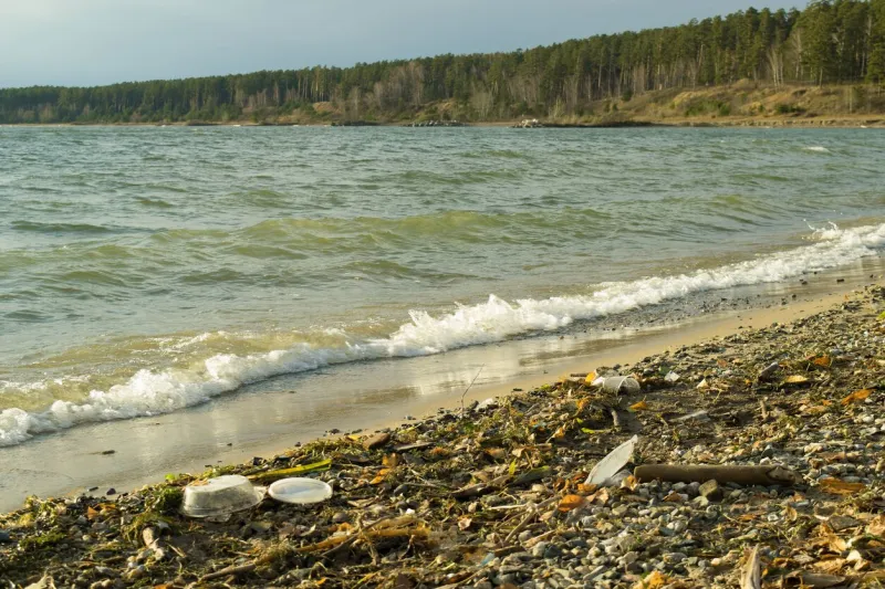 plastic garbage and driftweed on river shore environmental pollution