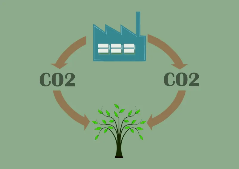 industry plant rejecting carbon dioxide co2 absorbed by tree, life cycle for co2 concept for pollution, greenhouse effect, deforestation, ecology, pollution, save the planet, no planet b