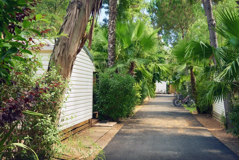 camping mobil home in very green garden