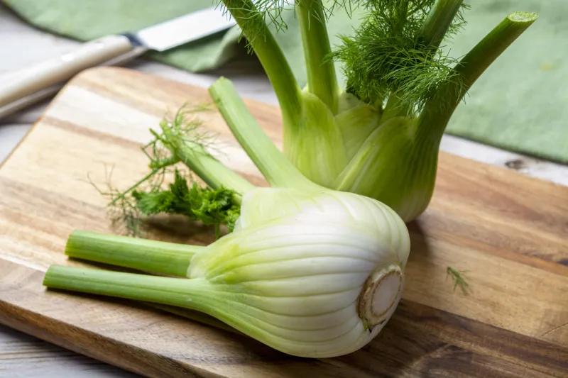 healthy vegetable diet, raw fresh florence fennel bulbs close up