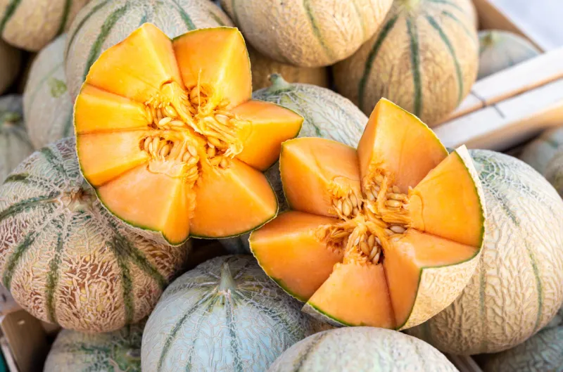 cavaillon melon on the street market provencal, france