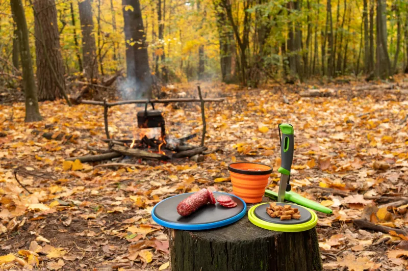 snack in the forest cooking in the forest bonfire in the forest autumn time