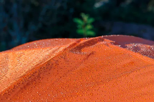 condensation in the morning on the orange tent forest background blurred
