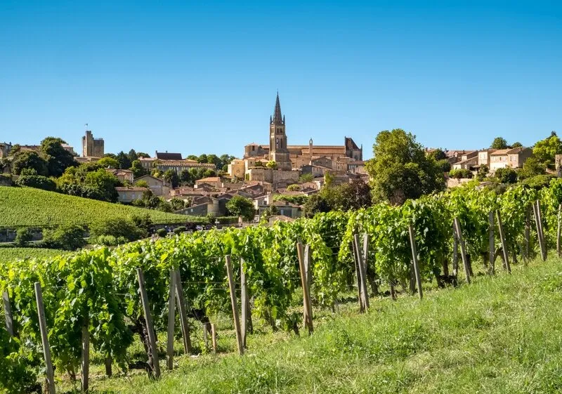 the vineyards by the town of saint-emilion, france