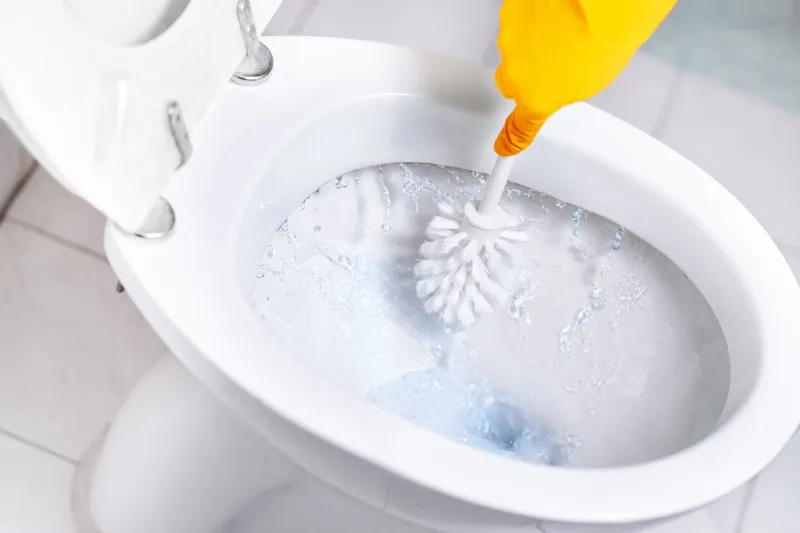close-up toilet bowl with brush and blue water