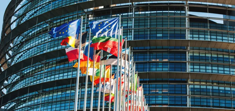 strasbourg, france - january 28, 2014  all eu members flags in front of the european parliament in strasbourg, france