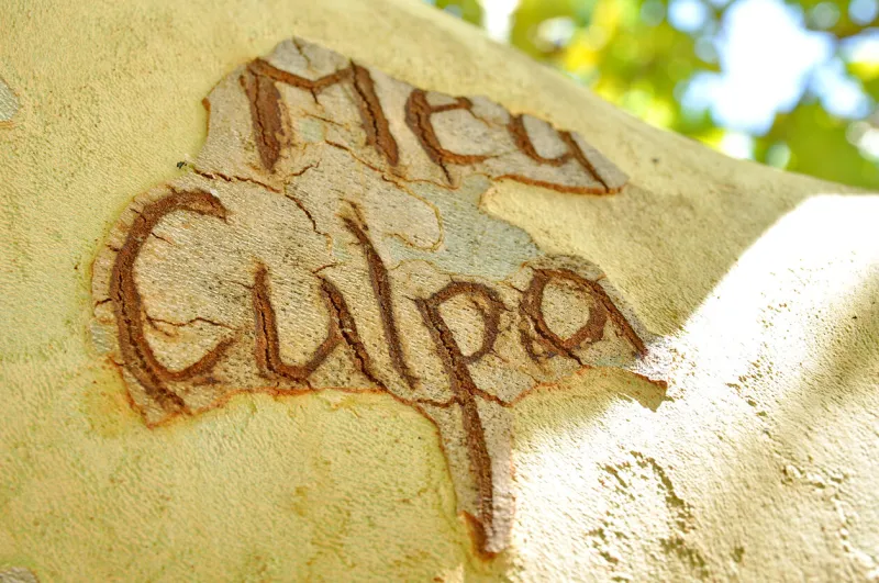 mea culpa text scratced