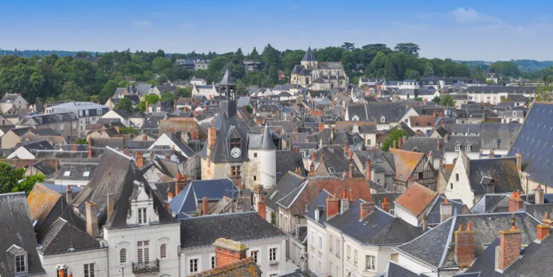view of the city of amboise in the indre et loire departement of the loire valley in france