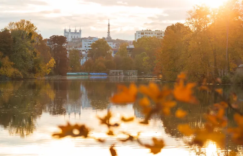 autumn mood and colours at the pond in parc de la tete d'or lyon, france