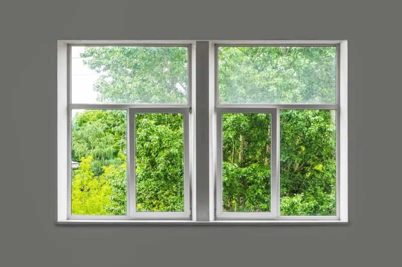 closed white window overlooking green garden green trees outside the window