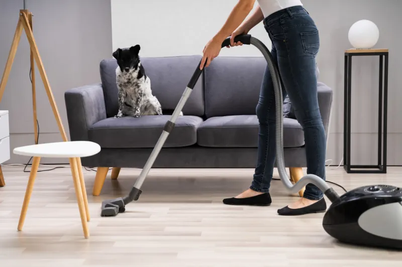 young maid cleaning carpet with vacuum cleaner at home