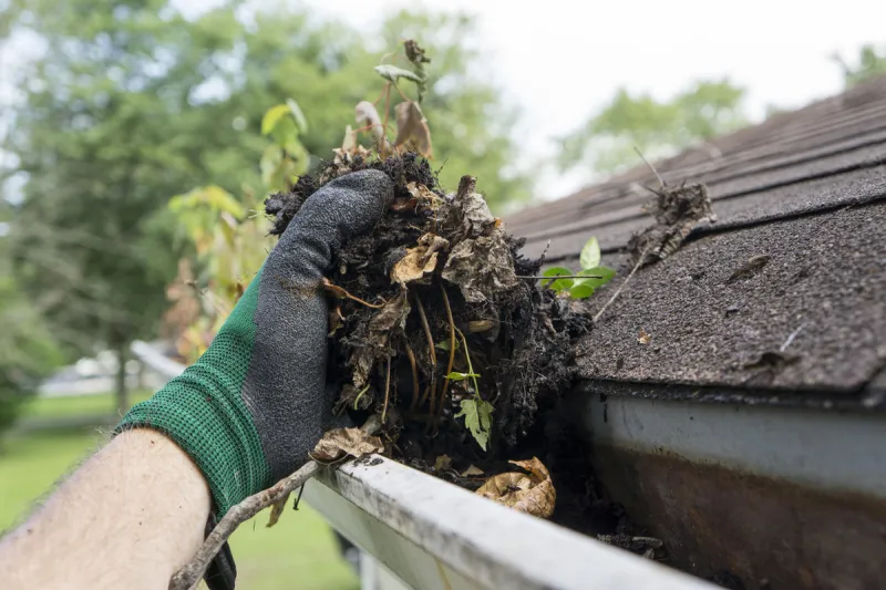 cleaning gutters during the summer time