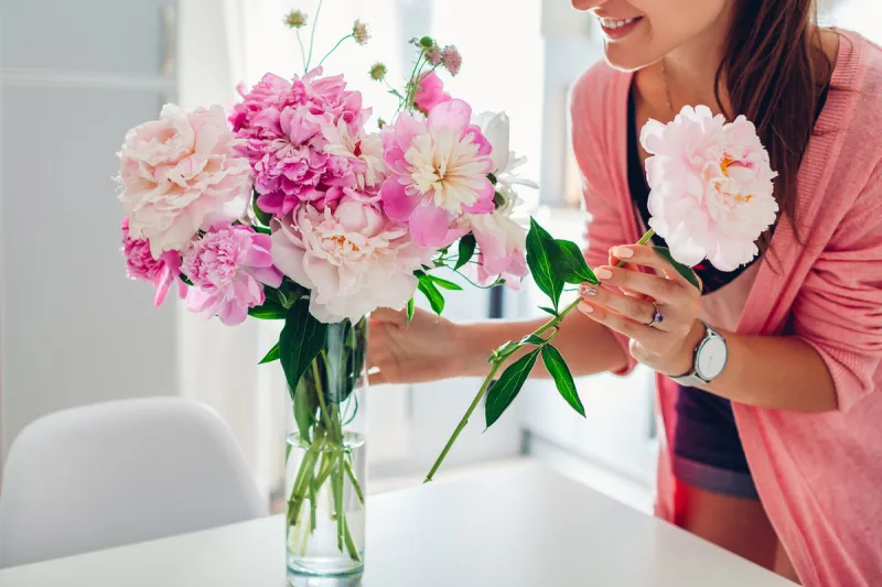 woman puts pink peonies flowers in vase young housewife taking care of coziness on kitchen composing bouquet home decor