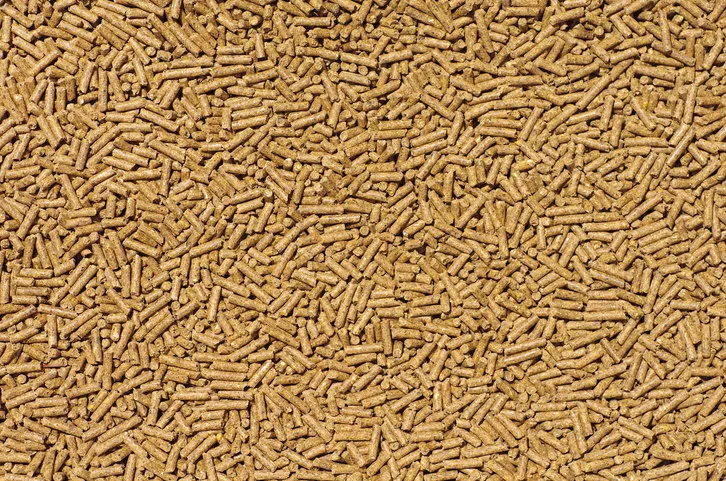 close-up on pellets used as animal food