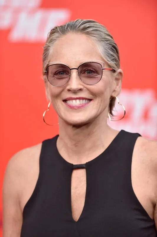 sharon stone attends the premiere of the spy who dumped me at regency village theatre on july 25, 2018 in los angeles, ca, usa photo by lionel hahn abacapresscom , 645633 133 los angeles etats-unis united states