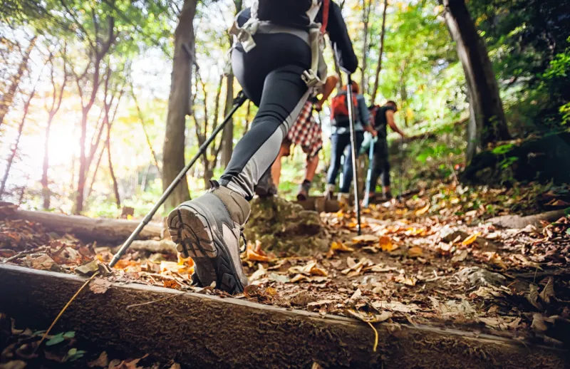 hiker woman with trekking sticks climbs steep on mountain trail, focus on boot
