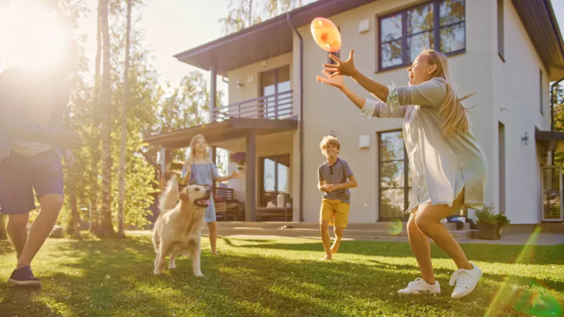 beautiful family of four play catch toy ball with happy golden retriever dog on the backyard lawn idyllic family has fun with loyal pedigree dog outdoors in summer house backyard