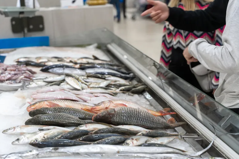 adult buyers searching for fresh seafoods on crushed ice in open display of fish shop woman choosing frozen food from a supermarket freezer