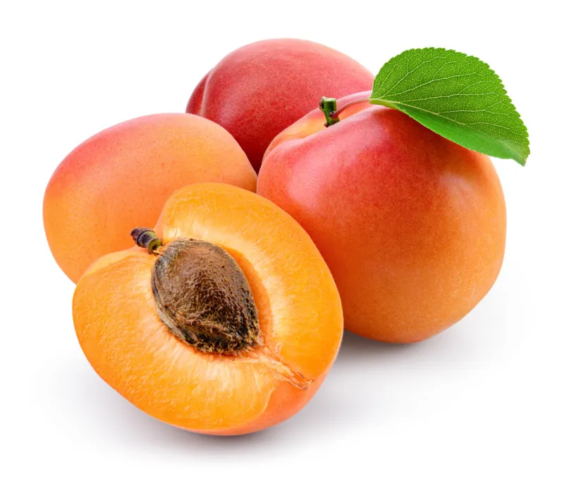 apricot isolate apricots with slice on white fresh apricots with clipping path full depth of field